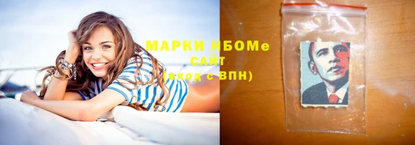 хмурый Абаза