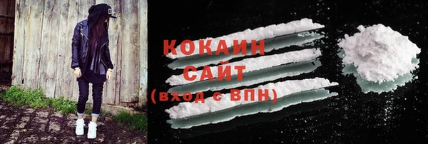 хмурый Абаза