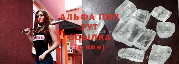 шишки Шарыпово