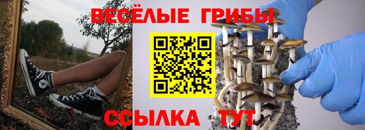 Чита  Галлюциногенные грибы мухоморы  хочу наркоту  Вход с VPN  Галлюциногенные грибы Psilocybine cubensis 
